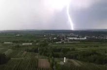 890905