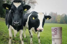 Kiedy mleko znów zdrożeje? Eksperci wskazują moment przełomu