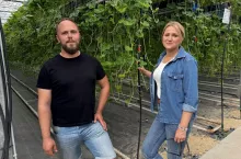 Izabela Witczak, Łukasz Palka, Boryna