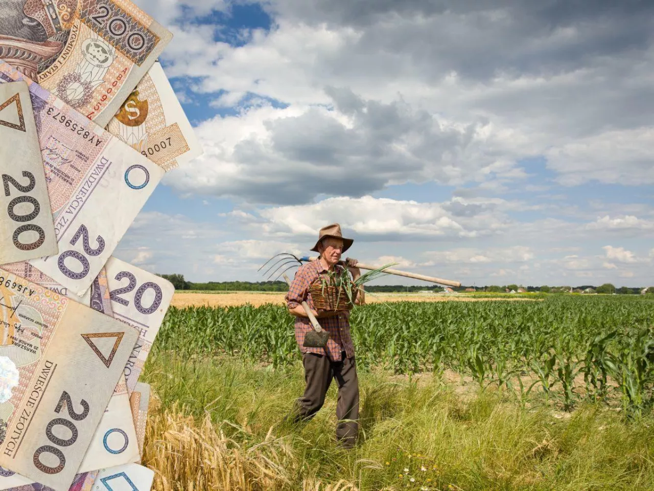 rolnik na polu, po lewej banknoty