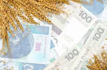 materiał siewny, banknoty