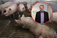 lochy, w kółeczku twarz Sławomira Izdebskiego, przewodniczącego OPZZ