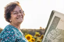 starsza kobieta na polu ze słonecznikami, po prawej polskie banknoty