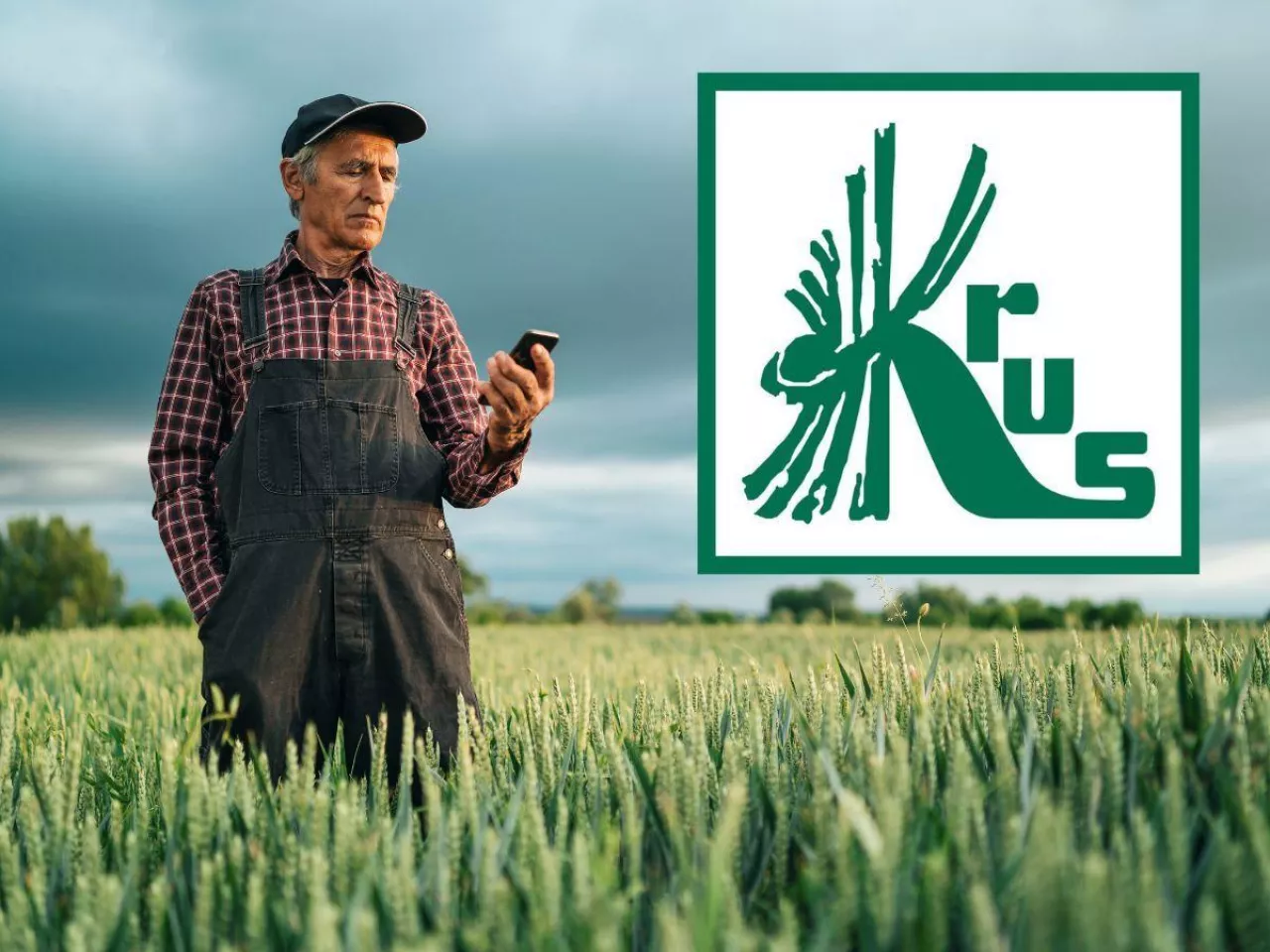 KRUS zaczyna wysyłać SMS-y do rolników. Trzeba podać te dane