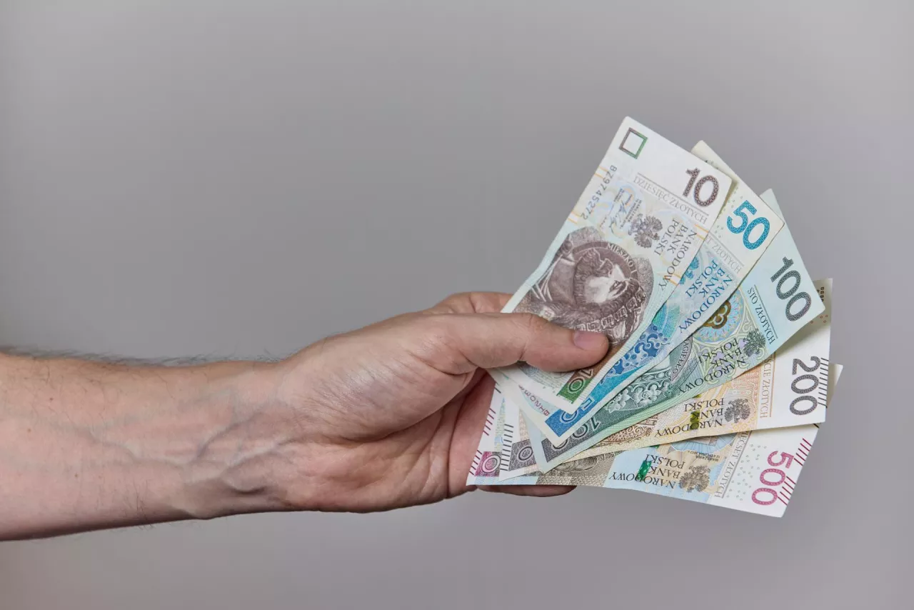 Close-up of a hand holding Polish zloty banknotes on a neutral background. Concept of salary, savings, budget, investment, income, finance, or economic transaction.