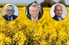 Alarm na rynku rzepaku. Branża chce otwarcia granicy z Ukrainą