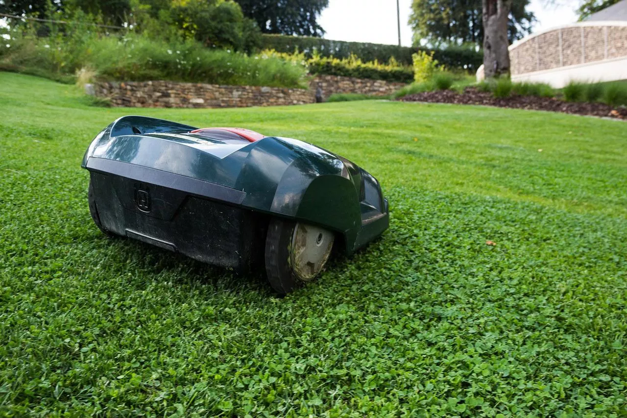 Na co zwrócić uwagę przy wyborze automatycznego robota koszącego do swojego trawnika?