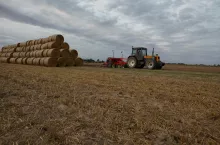 Słoma i siano w cenie