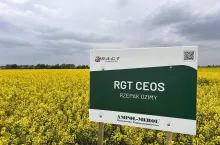 Rzepak ozimy RGT Ceos Tablica odmianowa