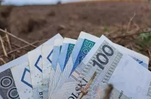 pole, na dole banknoty polskie