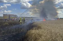 Pożar pochłonął blisko dwa hektary zboża na pniu