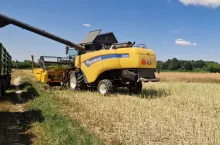 Ruszyły żniwa rzepaku 2026. Jakie są pierwsze plony i ceny w ?