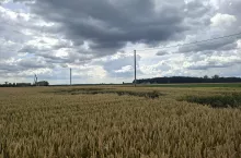 Przetargi ofertowe to dla wielu rolników, którzy posiadają gospodarstwa w pobliżu państwowych gruntów, jedyna możliwość na powiększenie areału. Jest to szczególnie ważne dla rolników z takich województw, jak: zachodniopomorskie, dolnośląskie, warmińsko-mazurskie, lubuskie, pomorskie, kujawsko-pomorskie czy opolskie