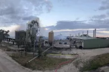 Pożar pochłonął życie około 20 tys. świń