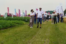 Te odmiany zbóż mają dawać wysoki plon mimo suszy. DANKO pokazało nowości