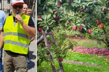 ”Nie mamy gdzie sprzedać towaru”. Rolnik: doszliśmy do ściany 