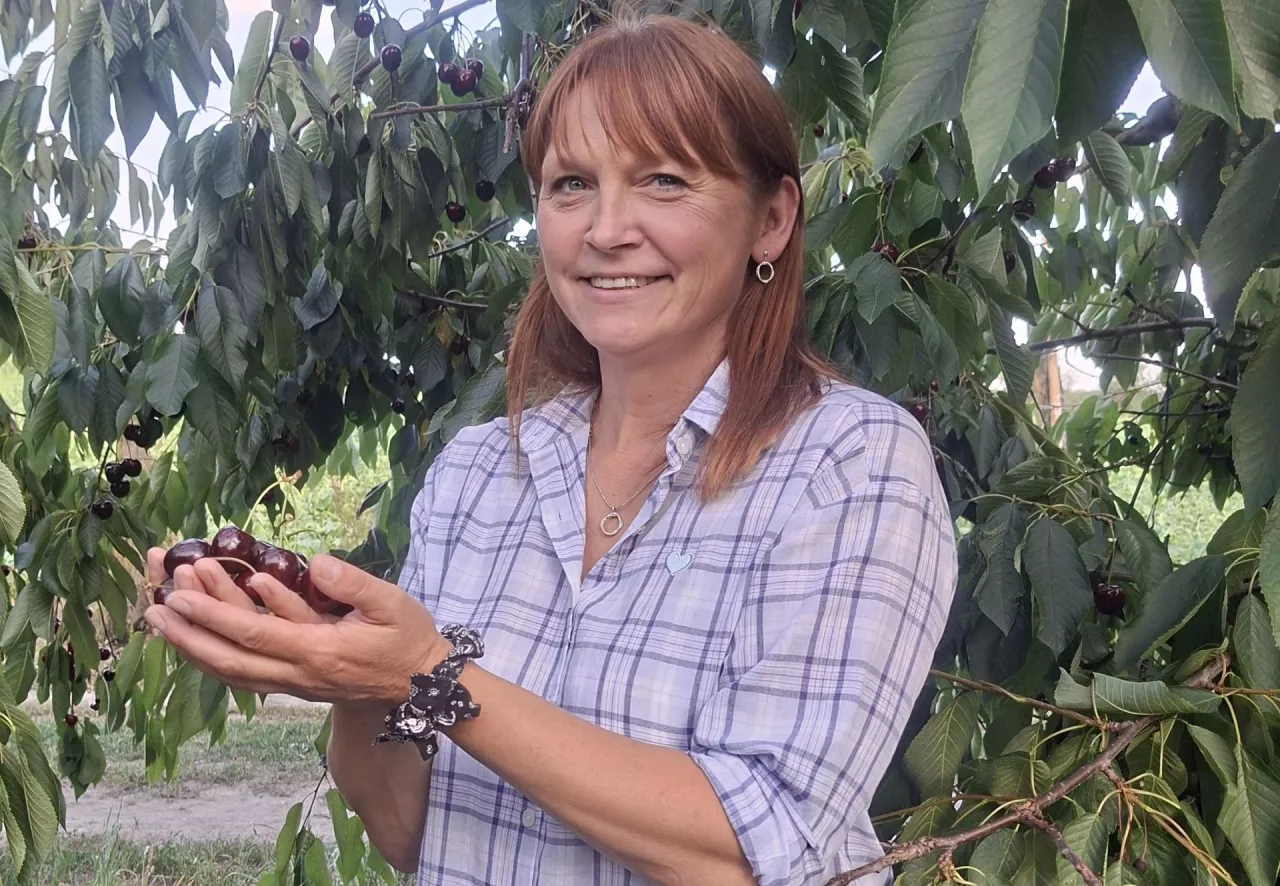 Ela gości częstuje czereśniami z talerza, ale sama woli owoce prosto z drzewa