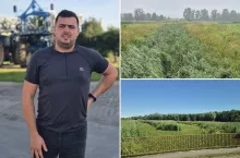 Sytuacja na Żuławach Wiślanych jest poważna