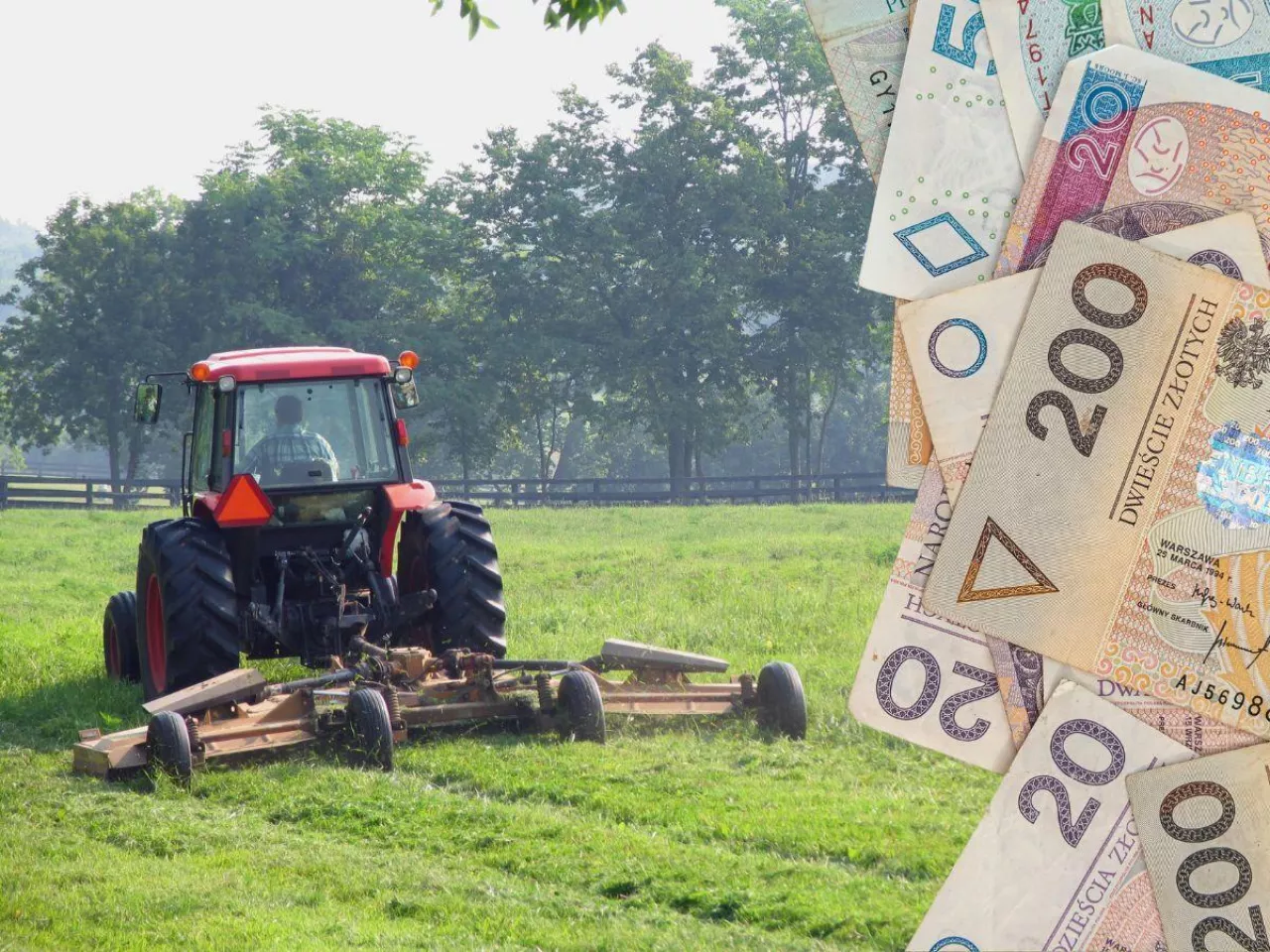 KOWR wydzierżawi ponad 130h ha na Kujawach. Ile działek? Jaki czynsz?