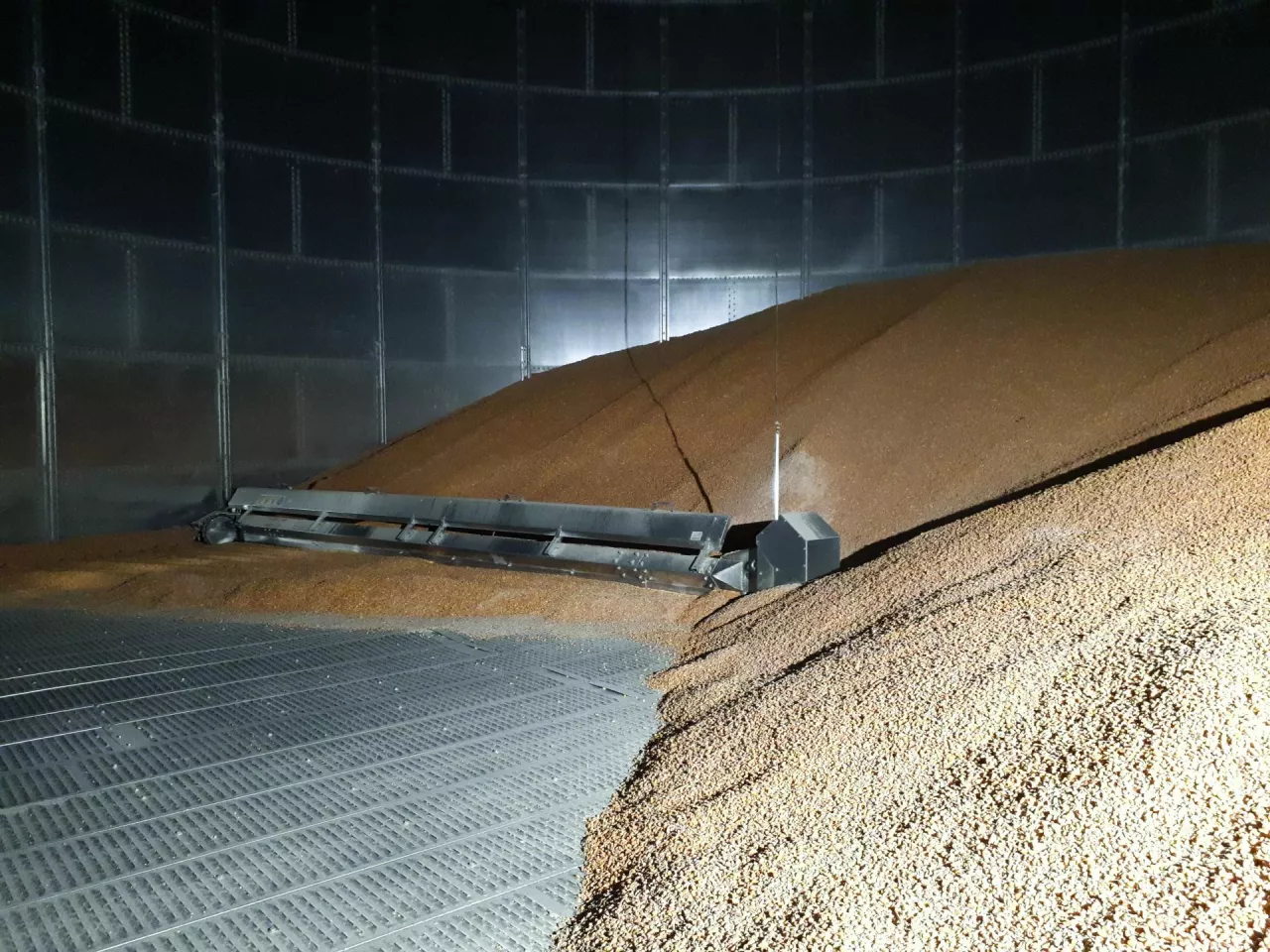 Technika, tap 9/2025, jaki wybrać silos zbożowy, silos lejowy, silos z płaskim dnem, magazynowanie zboża, silosy
