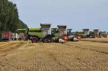 Kombajny zbożowe marki Claas na polu podczas żniw