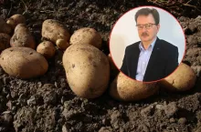 ziemniaki na polu, w kółku twarz Dzwonkowskiego Wiesława z IERiGŻ