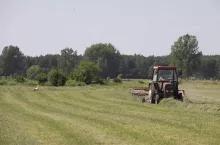 pole, łąka, maszyna rolnicza