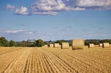 Żniwa pod presją czasu. Wicemarszałek apeluje do rolników
