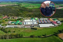 Gigant hodowli świń upadł. Na każdej świni tracił ponad 50 euro