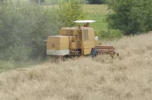 944902