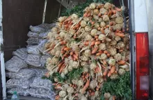 Maliny po 50 zł/kg, ogórki potaniały o połowę. Jakie dziś ceny na Broniszach?