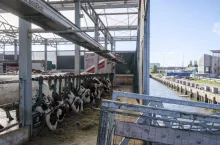 Pływająca obora, mieszcząca 34 krowy, została zwodowana w porcie Rotterdam w 2019 roku. Została zbudowana przez firmę Floating Farms. Stodoła została zaprojektowana z myślą o umożliwieniu rolnictwa w miastach, gdzie brakuje miejsca dla zwierząt gospodarskich.