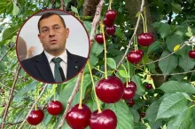 Krajewski złoż skargę do UOKiK w sprawie cen wiśni