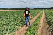 Rolnik z Podlasia ogłosił samozbiory ogórków
