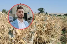 groch siewny, w kółku twarz rolnika Krzysztofa Olejnika z woj. łódzkiego