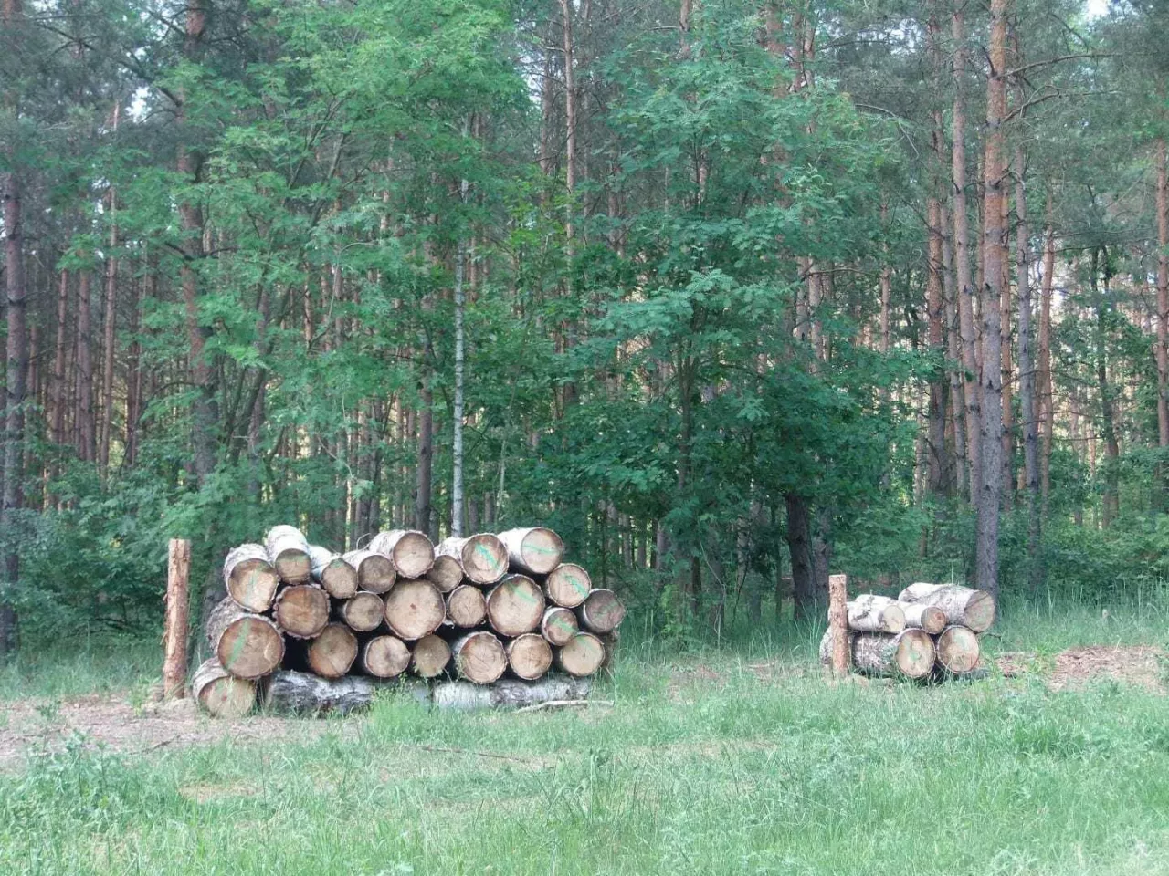 fot. K. Drozd