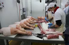 Granja Godall, hiszpania, produkcja wędlin