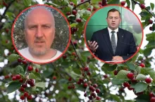 wiśnie na drzewie w tle, w kółkach twarz wicemarszałka Sochy i ministra Krajewskiego