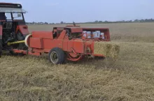 945406