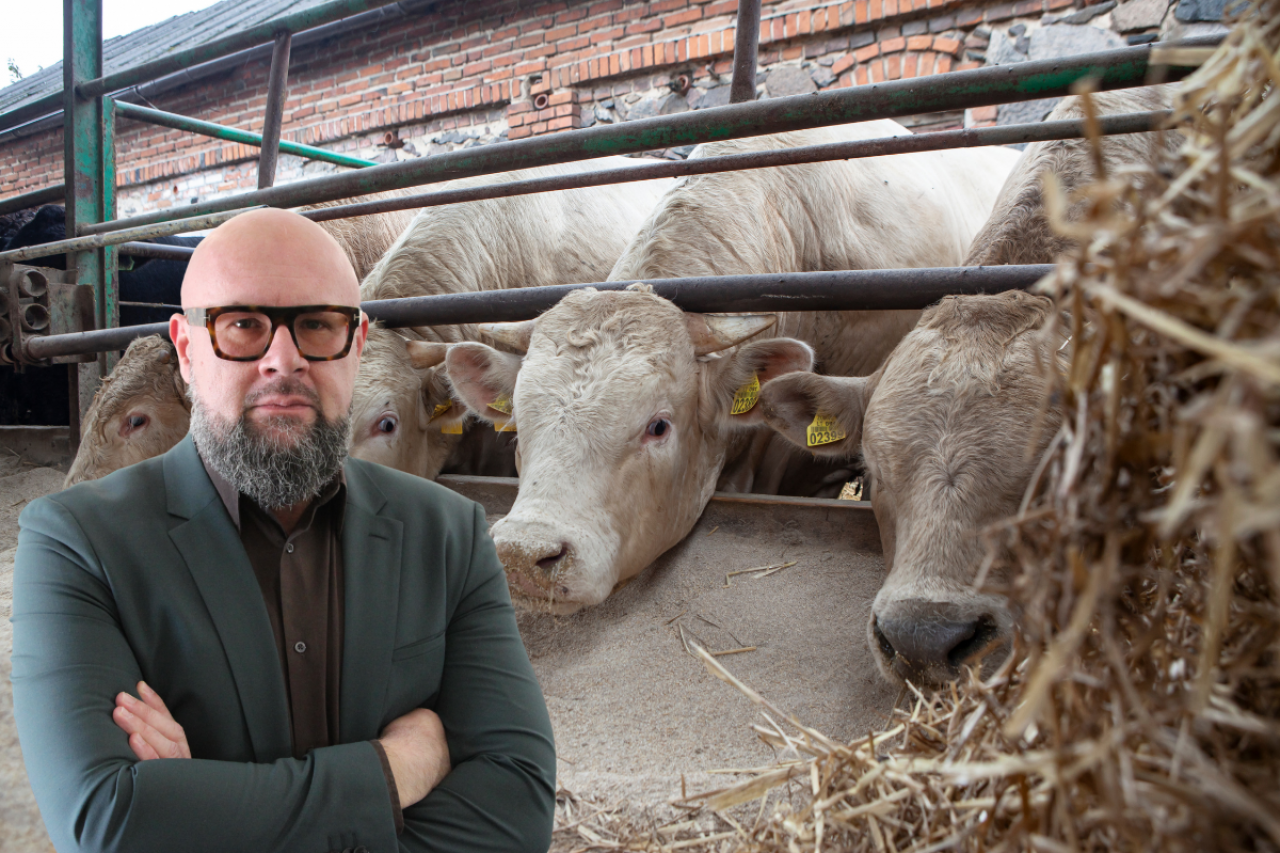 Jacek Zarzecki, wiceprezes Polskiej Platformy Zrównoważonej Wołowiny ma nadzieję, że nowe limity wejdą w życie już niebawem