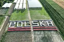 napis z roślin ”POLSKA”, w ramach forum Polskie Pole