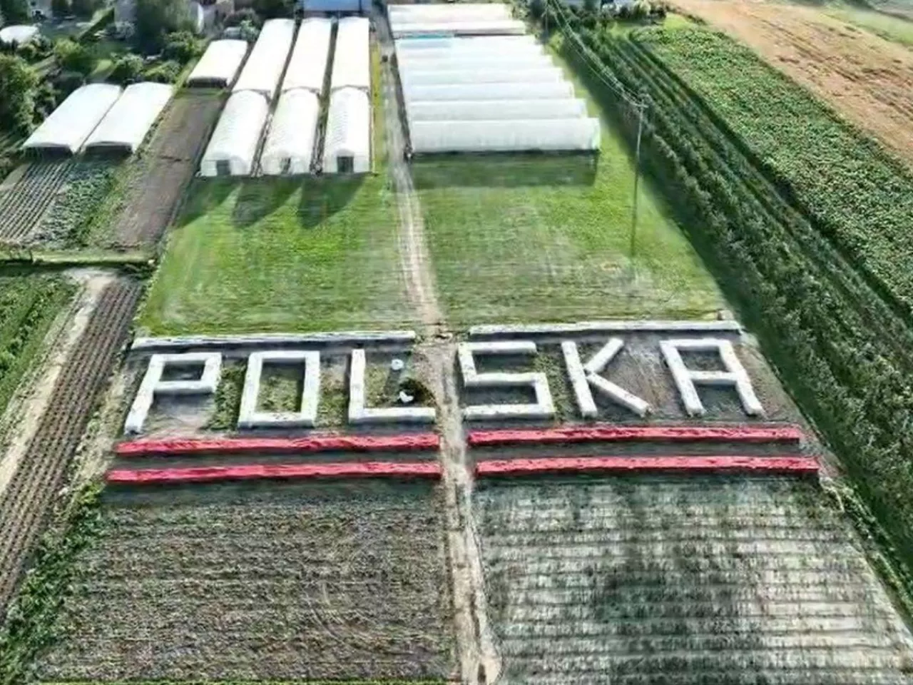 napis z roślin ”POLSKA”, w ramach forum Polskie Pole