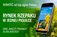 Rynek rzepaku w jednym raporcie. Ceny, bilanse i prognoza na 2026/27