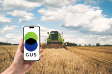 pole, dłoń z telefonem, na telefonie napis GUS