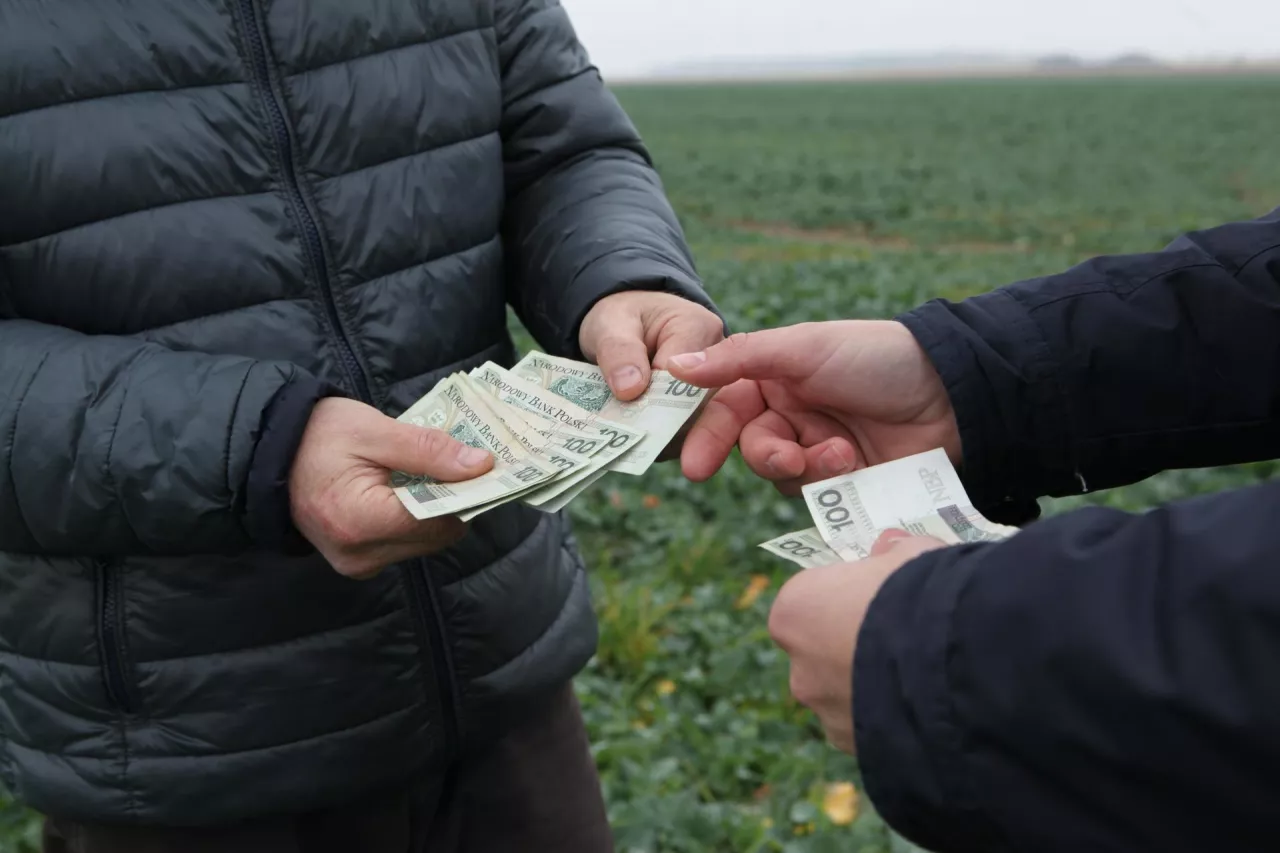 Rząd chce pomóc oszukanym w „Czystym Powietrzu”. Dług może zostać zawieszony