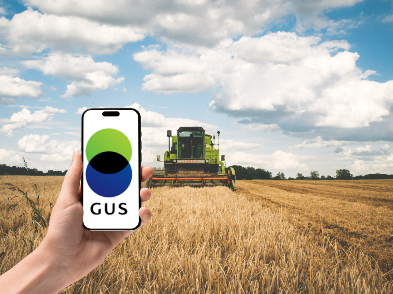 pole, dłoń z telefonem, na telefonie napis GUS