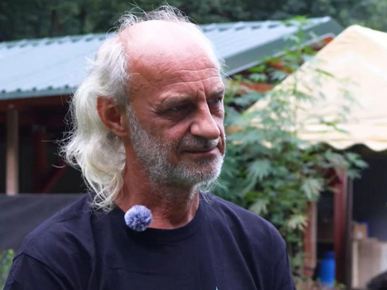 Rolnik uprawia konopie