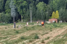 Samozbiory u rolnika na Dolnym Śląsku