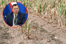 Krajewski o pomocy suszowej: myślimy o wsparciu dla rolników ze stratami poniżej 30 proc.