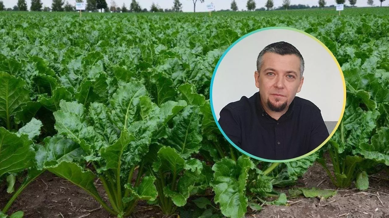 Rafał Strachota, dyrektor KZPBC